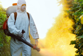 Фотография к новости: Как акмолинские аграрии защищают будущий урожай от вредителей и болезней