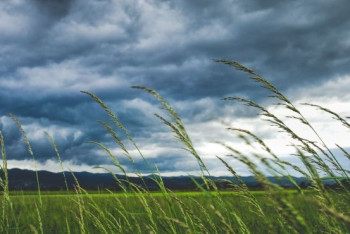 Фотография к новости: В нескольких областях Казахстана объявлено штормовое предупреждение