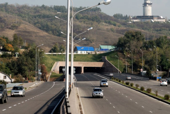 Ребёнка сбили и бросили под деревом в Алматы