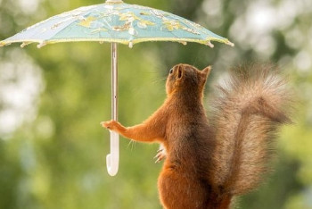 Фотография к новости: Неустойчивая погода сохраняется на территории Казахстана 16 июля 