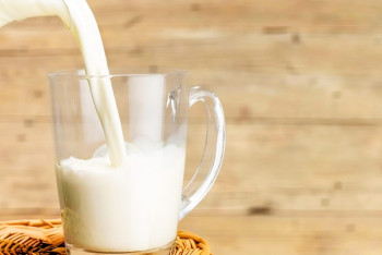 Фотография к новости: Ограничение на поставки казахстанских молочных продуктов отменила Россия 