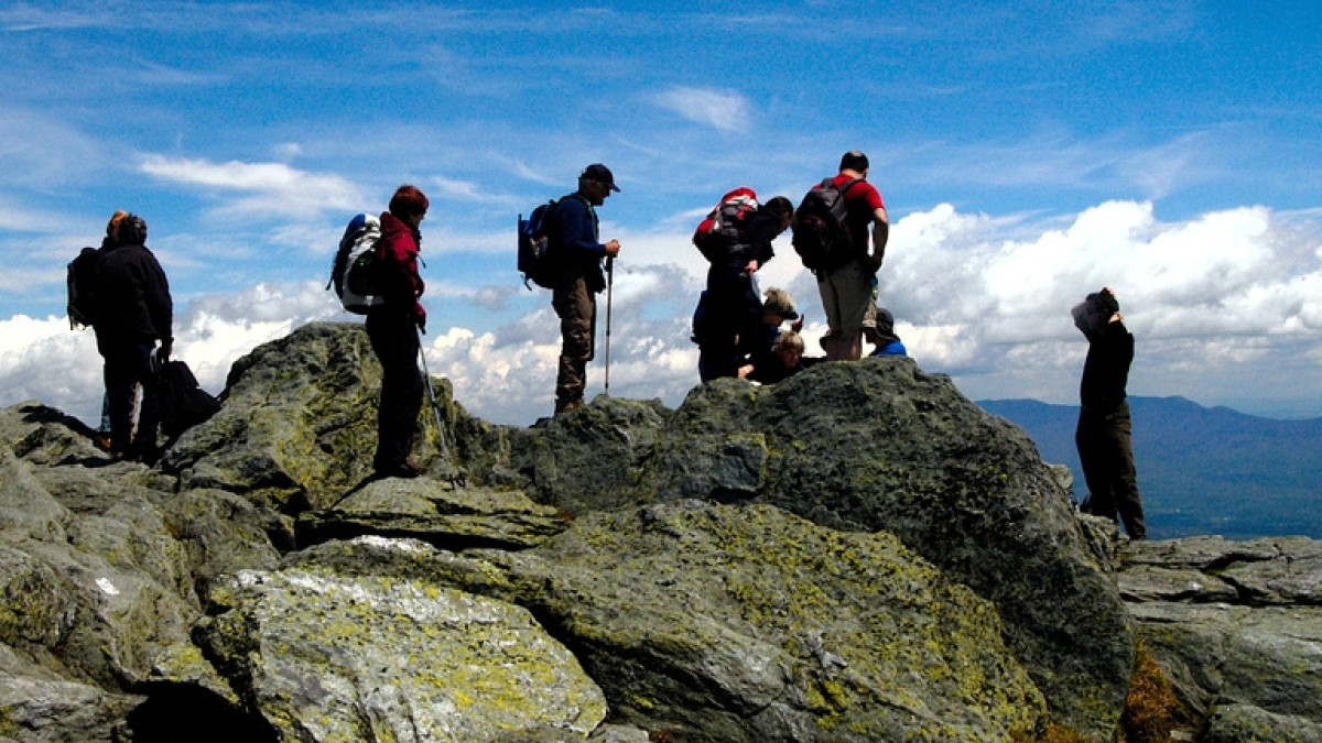 из открытых источников