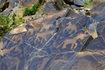 В комплексе "Танбалы" открылась туристическая зона