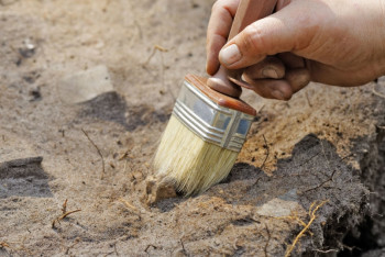 Фотография к новости: Кости гигантов ледниковой эпохи обнаружил житель СКО