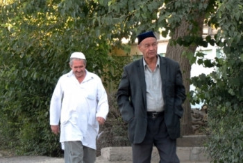 Точные границы сёл определят в Туркестанской области