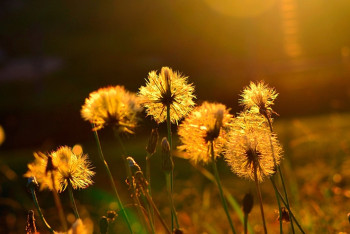 Фотография к новости: Как спастись от невыносимой жары: рекомендации экспертов  