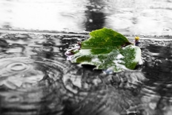 Фотография к новости: Ослабление жары ожидается на большей части Казахстана