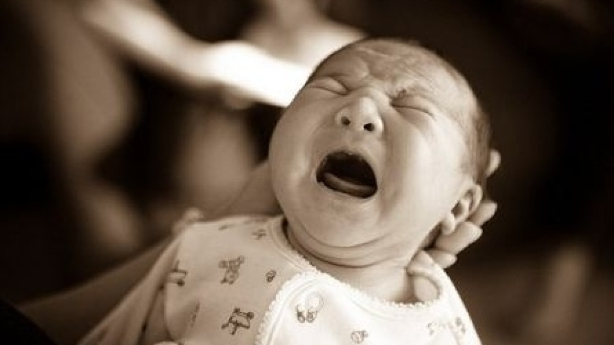 из открытых источников 