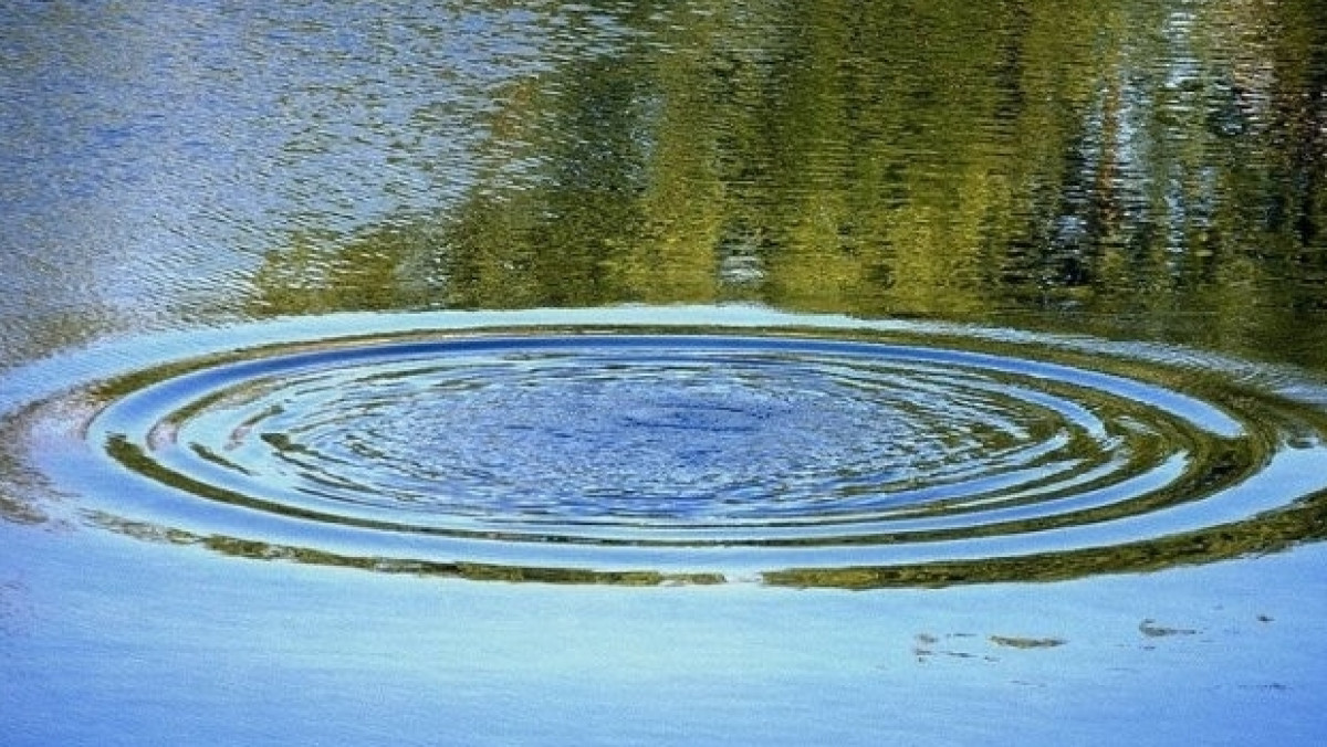 из открытых источников