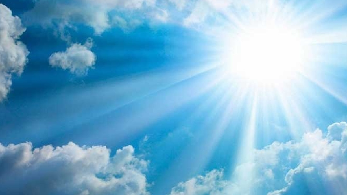 Из открытого источника 