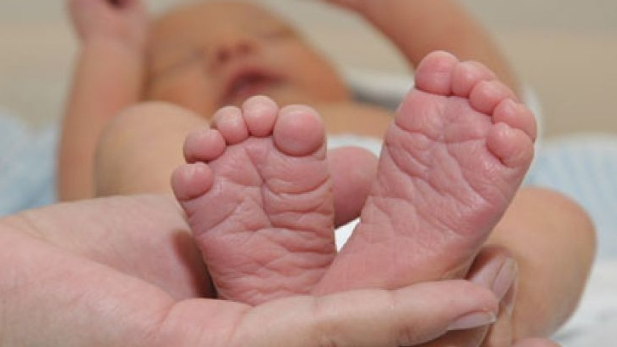 из открытых источников