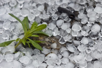 Фотография к новости: Град и пыльные бури ожидаются в Казахстане 7 июля