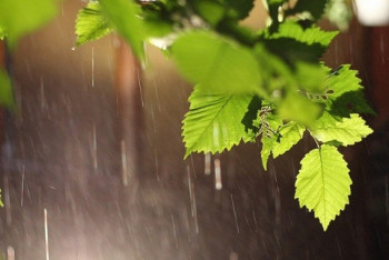 Фотография к новости: Кратковременные дожди с грозами ожидаются в Казахстане 6 июля