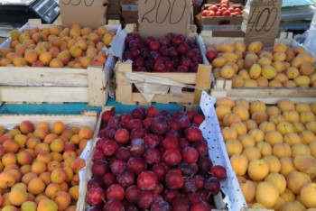 Фотография к новости: Аграрии Туркестанской области привезут в Астану 525 тонн сельхозпродукции