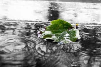 Фотография к новости: Дожди с грозами и град прогнозируют на большей части страны пятого июля 