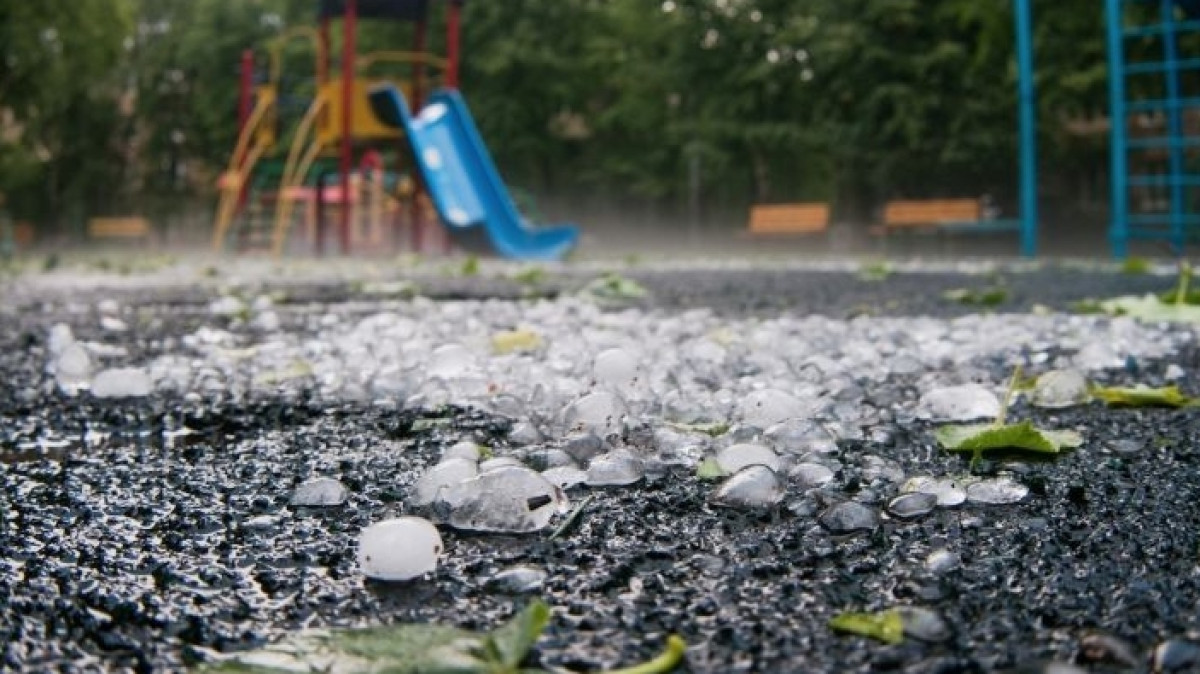 из открытых источников