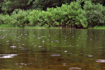 Фотография к новости: Подъём уровня воды в горных реках ожидается в Алматинской области