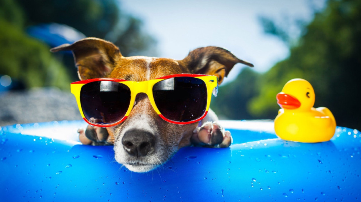 из открытых источников