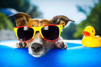 Фотография к новости: Жара придёт на север Казахстана