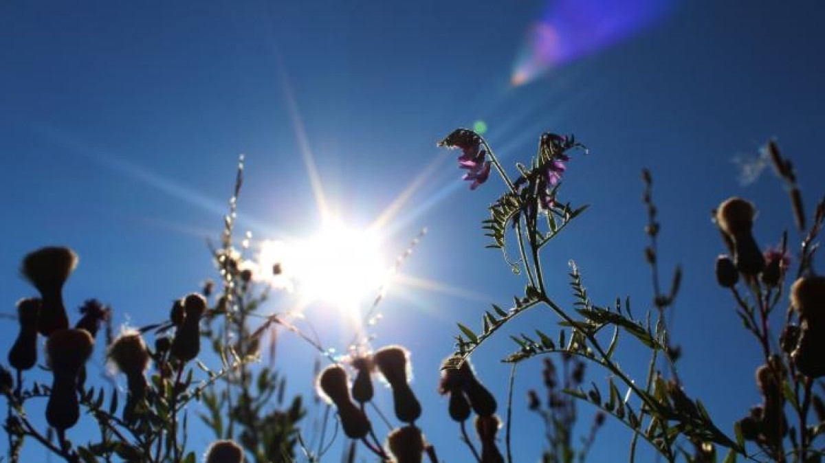 из открытых источников