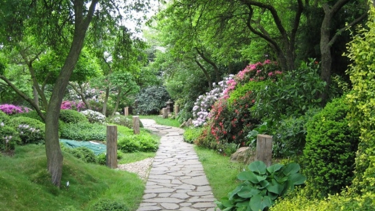 из открытых источников