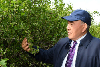 Фотография к новости: Назарбаев посетил объекты "зелёного пояса" Астаны