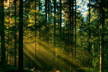 Фотография к новости: Тринадцатый национальный парк появился в Казахстане