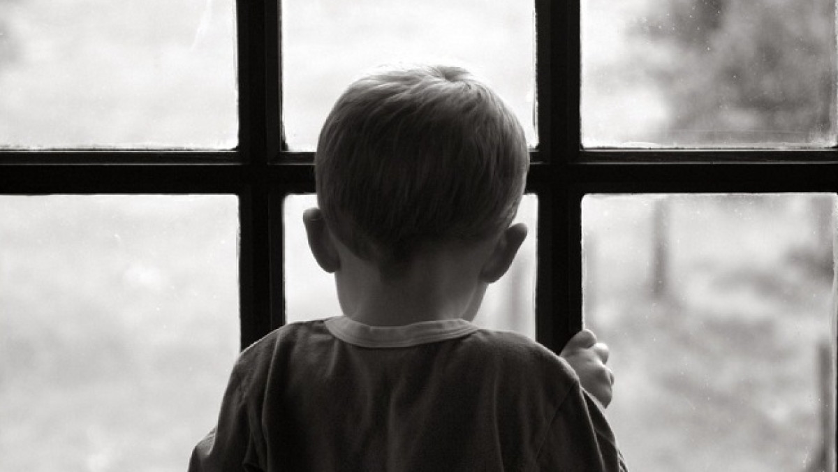 из открытых источников