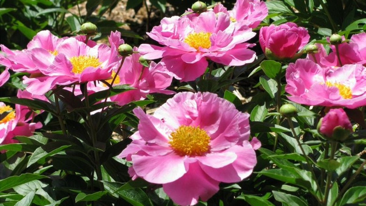 Из открытых источников 