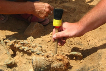 Фотография к новости: Находку бронзового века обнаружили в Карагандинской области 