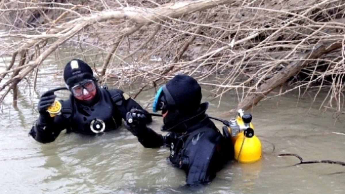 из открытых источников