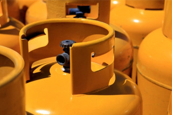 Фотография к новости: Сенат принял законопроект, устанавливающий предельные цены на газ 