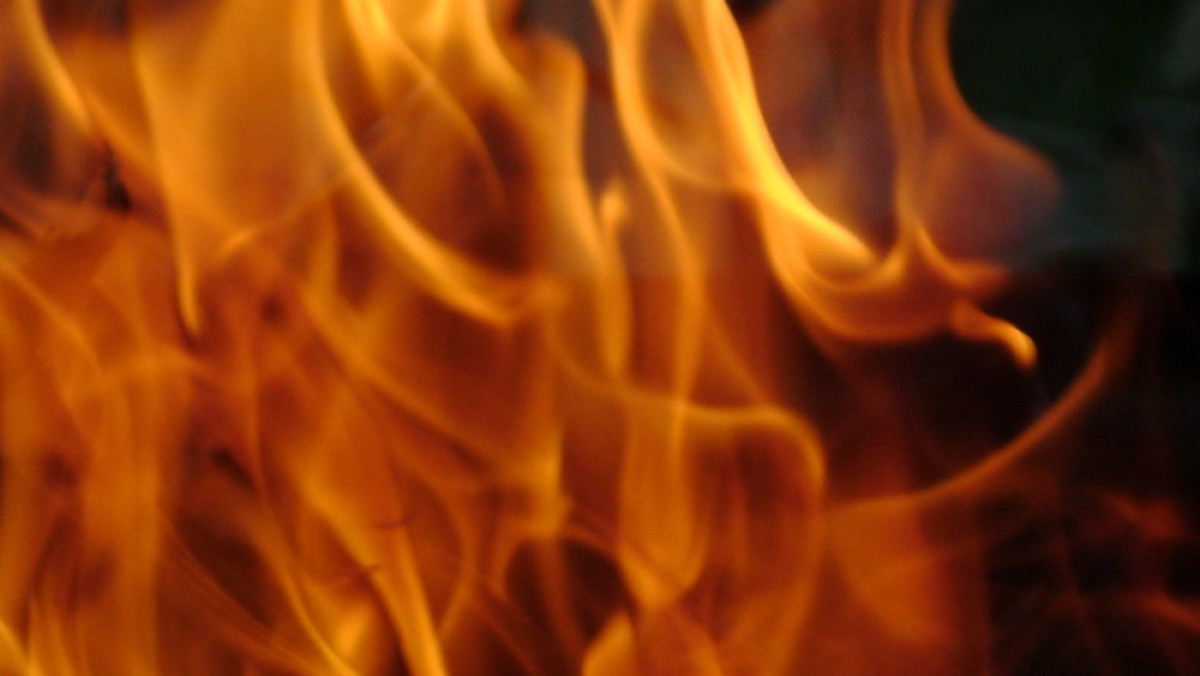 из открытых источников