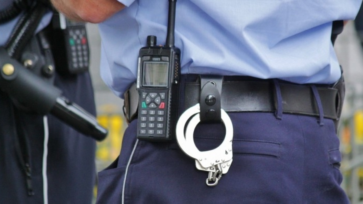 из открытых источников