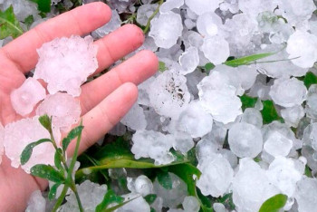 Фотография к новости: Град и усиление ветра прогнозируют в Казахстане 27 июня