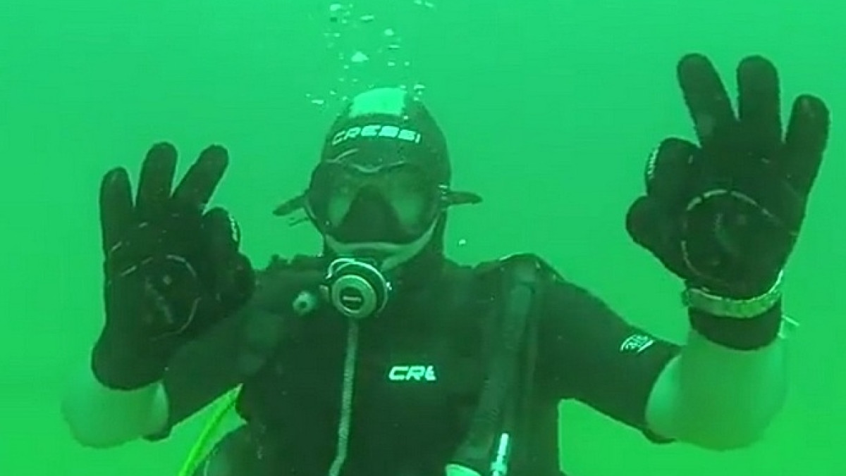 из открытых источников