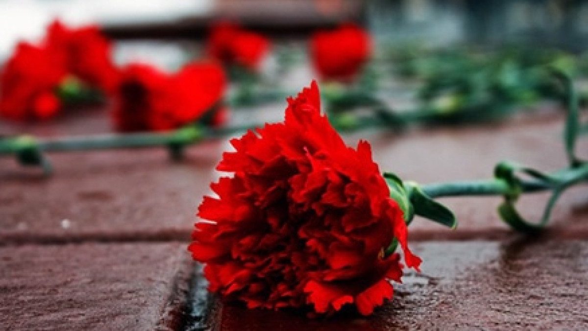 иллюстративное фото