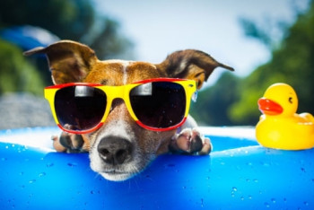 Фотография к новости: Аномальная жара на западе и шквал на севере ожидается в Казахстане 25 июня