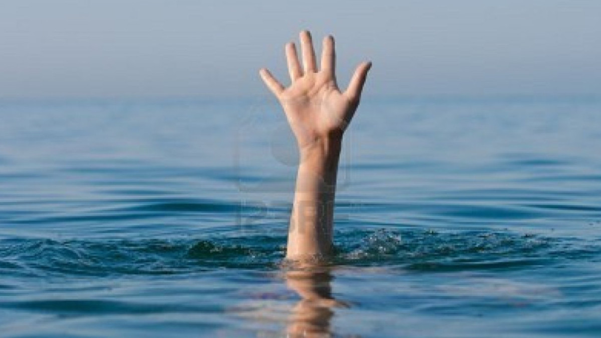 Из открытого источника 