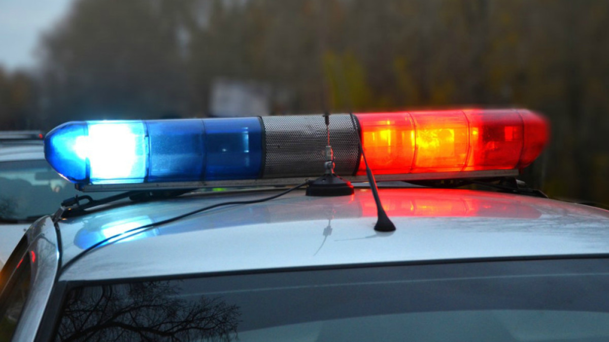 из открытых источников