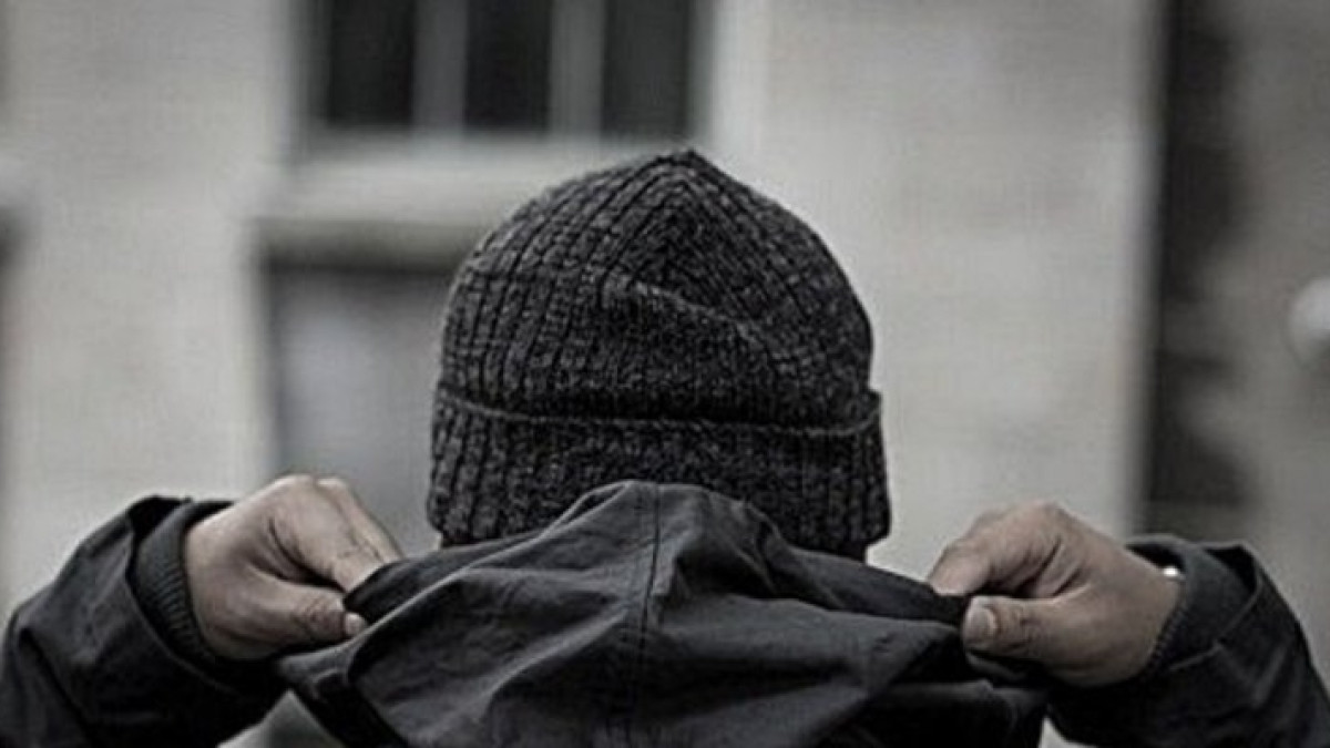 из открытых источников