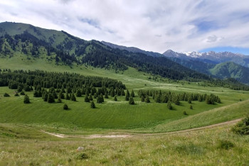 Фотография к новости: Частная земля в урочище Кок-Жайлау будет возвращена государству