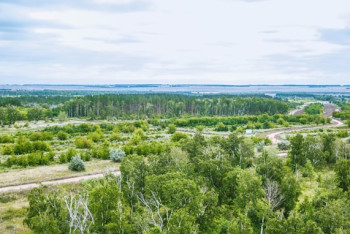 Увеличить площадь леса вокруг Астаны до 100 тысяч гектаров намерены к 2021 году