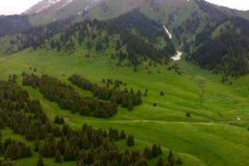 Фотография к новости: Сто гектаров земли Кок-Жайляу вернут Иле-Алатаускому природному парку