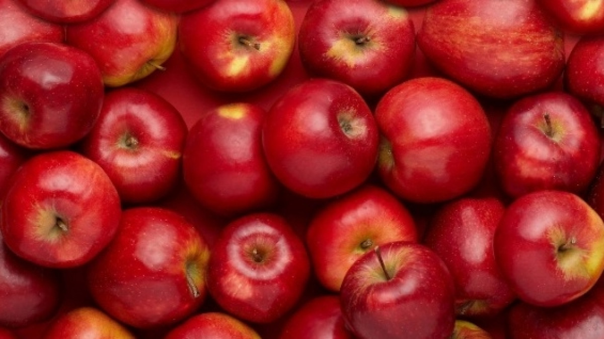 из открытых источников