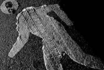 Фотография к новости: ДТП с пьяным замакима Риддера: отец погибшего просит не сажать чиновника