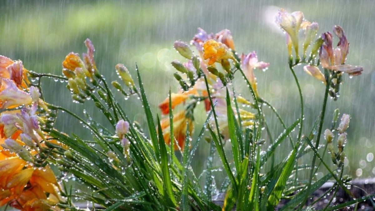 Из открытых источников 