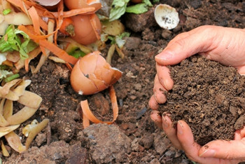 Фотография к новости: В компост будут превращать пищевые отходы в Астане