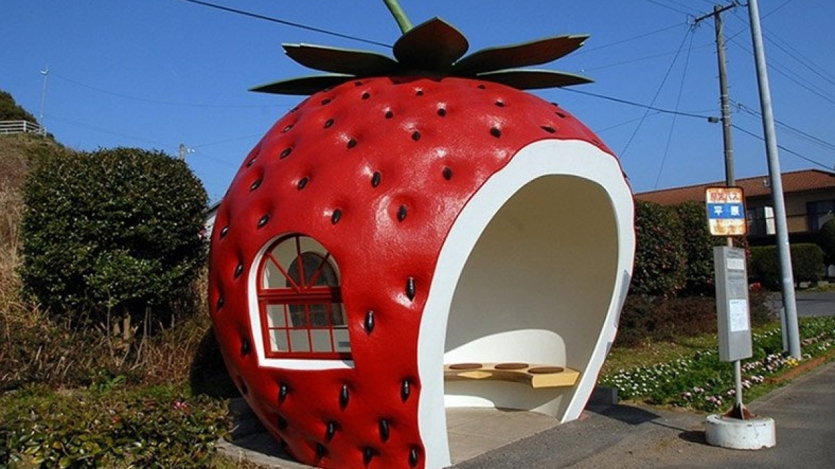 Из открытых источников 