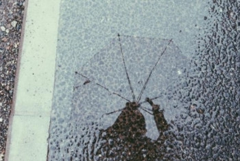 Фотография к новости: Дожди, грозы и град ожидают казахстанцев в первой половине недели